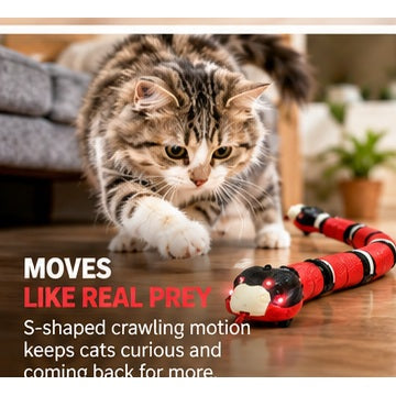 SlitherChase prey-like movement for cats