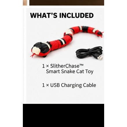 SlitherChase toy and USB charging cable included